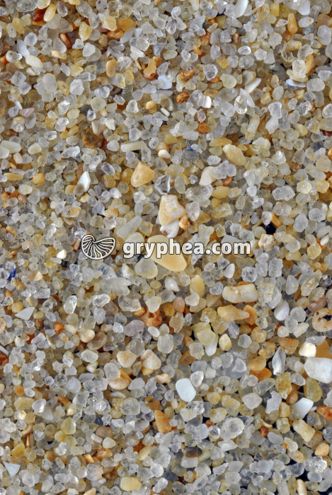 Sable quartzeux - Plage du Pornichet (Loire Atlantique) x2 - gryphea.org